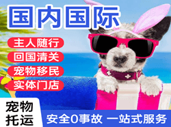 浪头空运代理国际宠物托运 【国